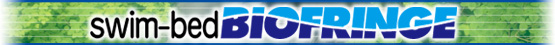 BF title