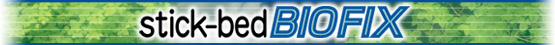 BXtitle