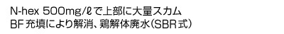 seikoureiportry