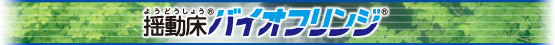 BFタイトル
