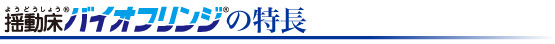 BF特長タイトル